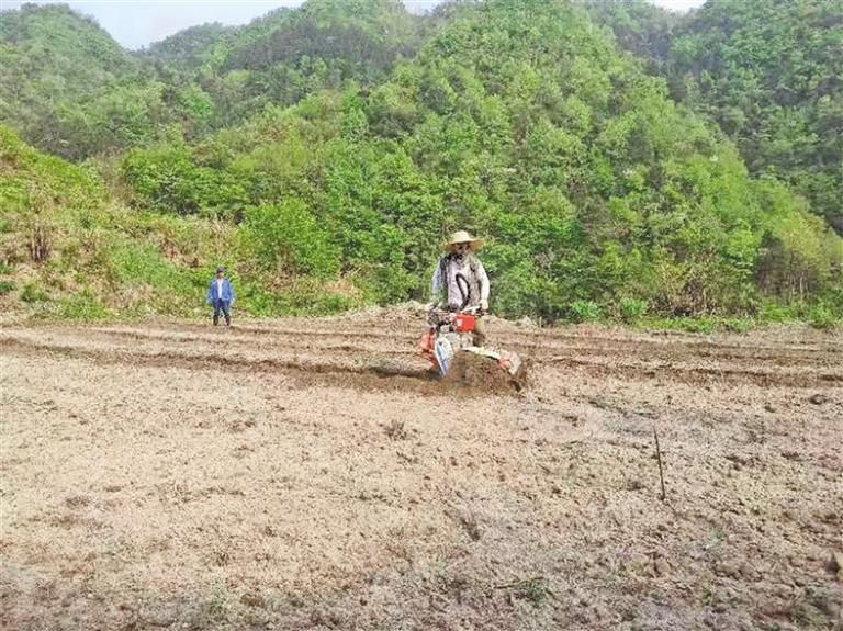 銀杏村村民利用農機對土地進行翻犁